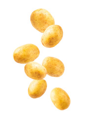 Young potatoes. Raw potatoes isolated on white background.Peel potatoes.Harvesting collection. organic, freshly dug potatoes. Agricultural background. Vegan. Vegetables.Potato slices.