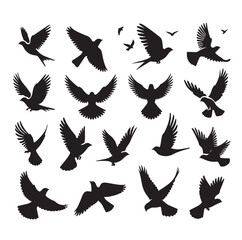 Flying birds silhouettes vector illustration