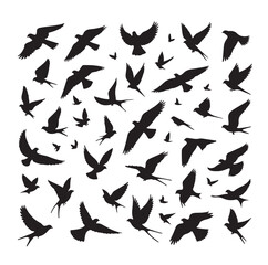 Flying birds silhouettes vector illustration