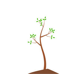 Obraz premium Growth Plant Tree Illustrations