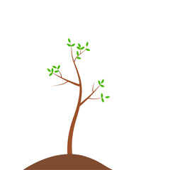 Growth Plant Tree Illustrations