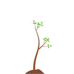 Obraz premium Growth Plant Tree Illustrations