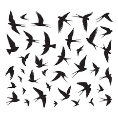 Flying birds silhouettes vector illustration