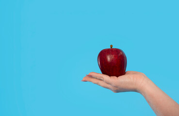 Single Red Apple Held in Open Palm Against Blue Background with Copy Space