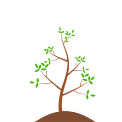 Obraz premium Growth Plant Tree Illustrations