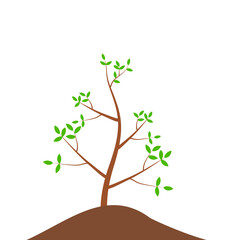 Growth Plant Tree Illustrations