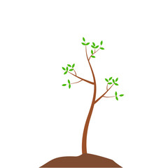 Obraz premium Growth Plant Tree Illustrations