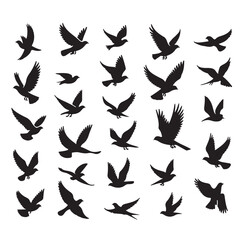 Flying birds silhouettes vector illustration