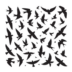 Flying birds silhouettes vector illustration