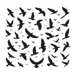 Flying birds silhouettes vector illustration