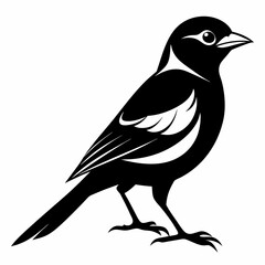 Shrike black silhouette