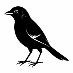 Shrike black silhouette