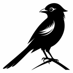 Shrike black silhouette