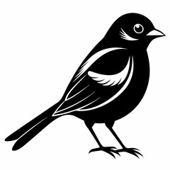 Shrike black silhouette