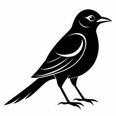 Obraz premium Shrike black silhouette