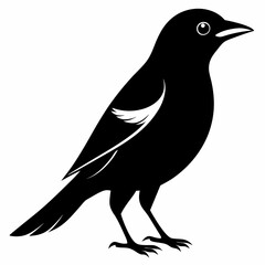 Shrike black silhouette