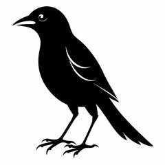 Shrike black silhouette