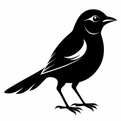 Shrike black silhouette