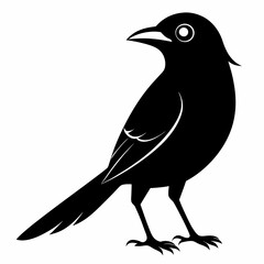 Shrike black silhouette