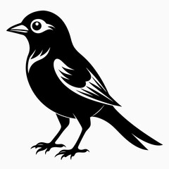 Shrike black silhouette
