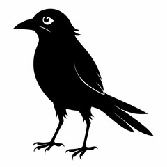 Shrike black silhouette