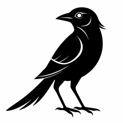 Shrike black silhouette