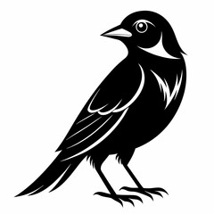 Shrike black silhouette