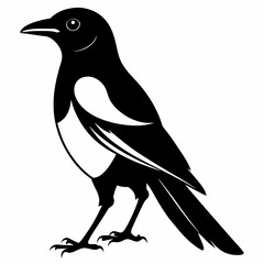 Magpie silhouette black