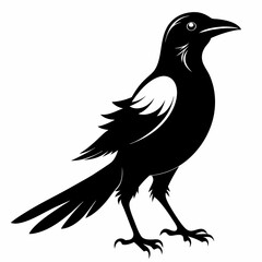 Magpie silhouette black