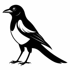 Magpie silhouette black