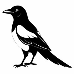 Magpie silhouette black