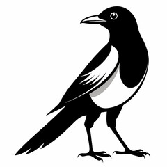 Magpie silhouette black
