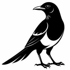 Magpie silhouette black