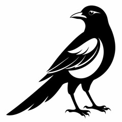 Magpie silhouette black