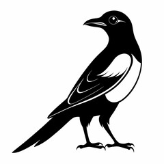 Magpie silhouette black