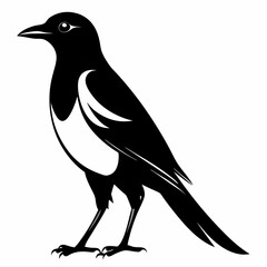 Magpie silhouette black