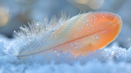 Close-up of a delicate orange feather covered in water droplets, resting on a bed of snow, blending warmth and coolness beautifully.