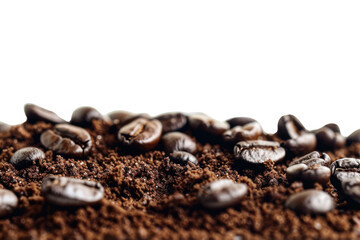 Fototapeta premium Close-up of freshly roasted coffee beans Rich brown Isolated on a white background