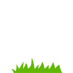 Wild Field Green Grass