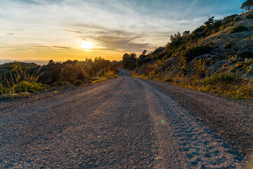 Road in the nature during sunset