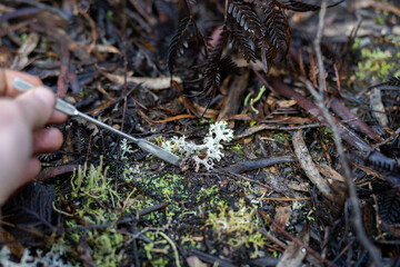 farmer collecting soil samples in a test tube in a field. Agronomist checking soil carbon and plant health on a farm. plant health