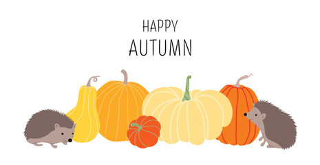 Happy autumn banner with colored pumpkins and hedgehogs on white background. Autumn illustration for Thanksgiving or harvest. Cute horizontal autumn banner.  Agriculture season. Autumn pumpkin harvest
