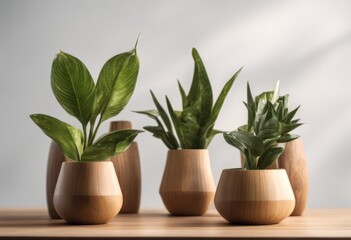 Fototapeta premium in decorative set path collection transparent indoor house clipping gardening decor plant pot plants cutout vase wooden olated decoration png background vases