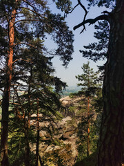 Trees frame a view of a rocky landscape in a national park