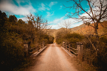 a dirt road with a bridge and trees on it
