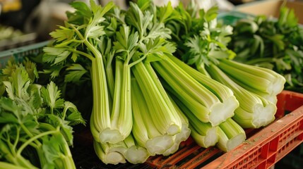 Obraz premium Market green vegetable fresh organic celery bulb
