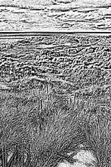 rocky beach sketch