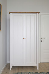 Free standing wardrobe in the room interior