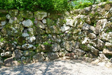 Kochi Castle's moss-covered stone walls