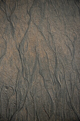 Seaside sand texture pattern